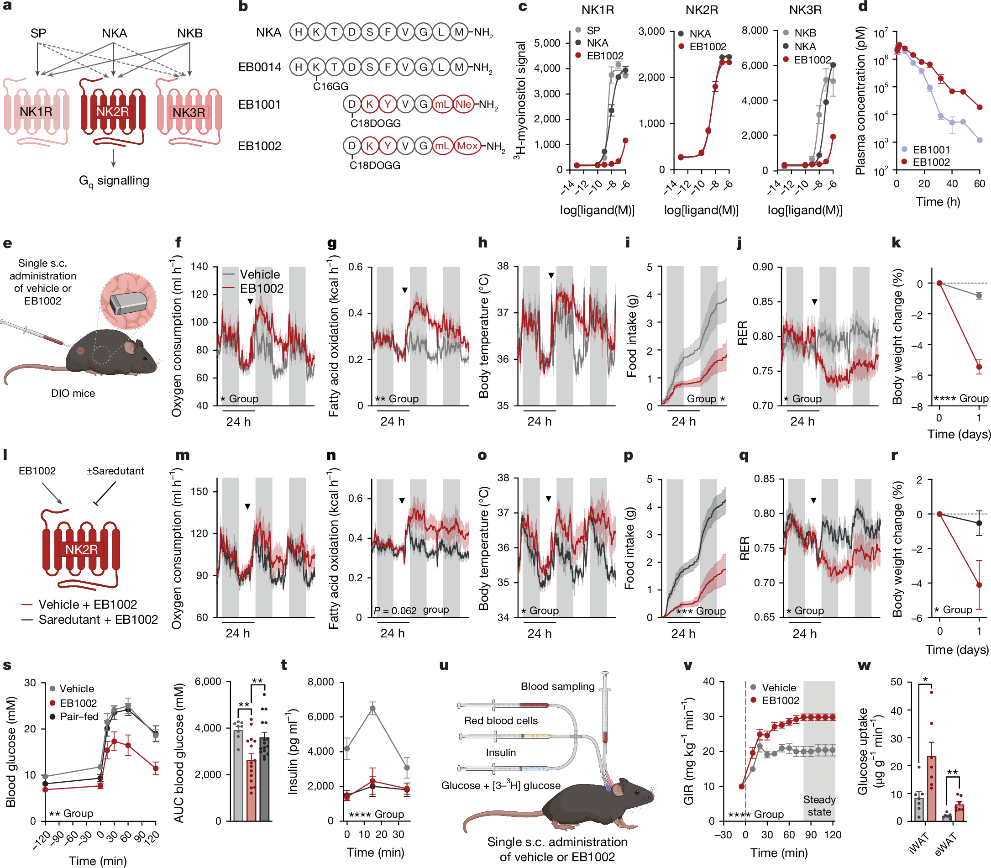 NK2R細(xì)胞篩選模型